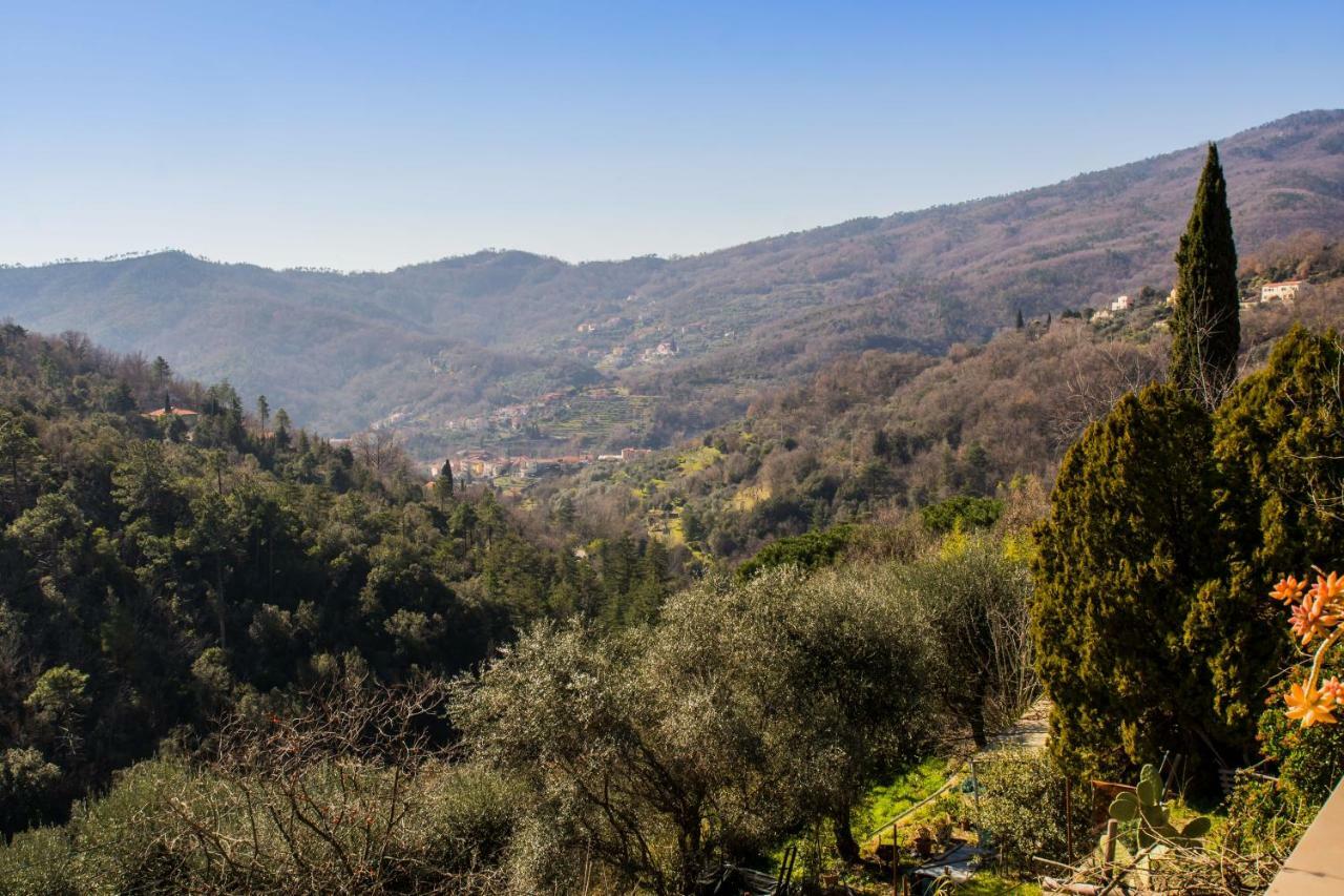 Agriturismo A Cà Vegia Calice Ligure Extérieur photo
